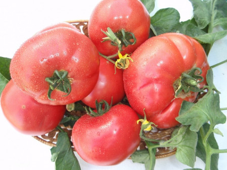 Rozalina Rossa F1 (250 seminte) seminte de tomate semitimpurii bulgaresti, GeosemSelect Bulgaria