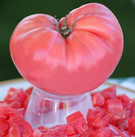 Rozov Gigant (150 seminte) tomate roze gigant soi traditional bulgaresc, gust si aroma deosebite tip Beef, Agrara
