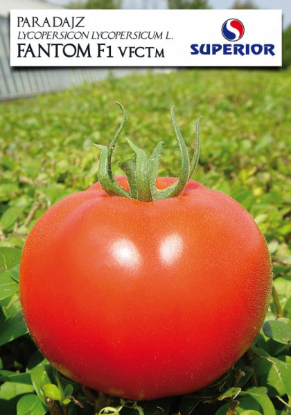 Tomate Fantom F1 – 50 sem – Seminte Tomate Nedeterminate Semitimpurii Superior Serbia
