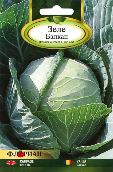 Varza de toamna Balcan - Balkan (10 gr) seminte varza soi cu capatana indesata, frunze subtiri, corespunde cu varza de Buzau, Florian