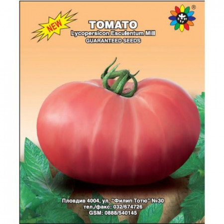 Amurg (150 seminte) tomate de culoare roz-violet, semitimpurii tip gigant tip Beef, Biosem
