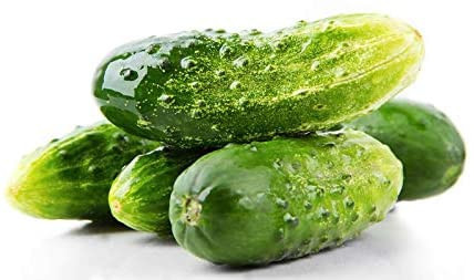 Castraveti cornison REGINA F1 (50 gr) hibrid timpuriu foarte productiv, Opal