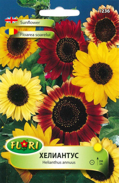 Floarea Soarelui Mix Decor - Seminte Flori Floarea Soarelui Mix de la Florian