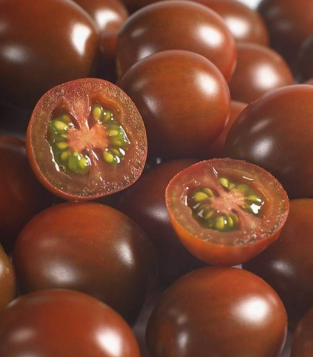 KM 5512 F1 (1000 seminte) rosii nedeterminat tip cherry KUMATO culoare si gust excelent, Syngenta