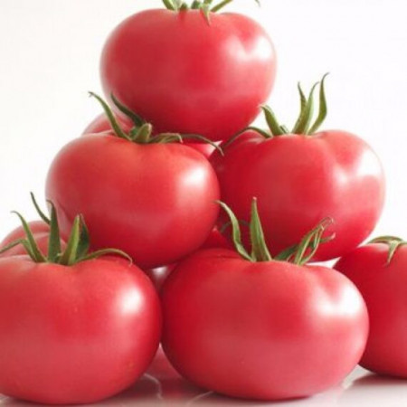 Manistella F1 (500 seminte) tomate de culoare roz, nedeterminate, rezistenta la crapare, Hazera