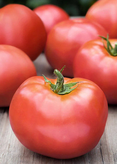 Pink Mousse (20 seminte) tomate roz soi cu gust si aroma deosebite, ChemyFarm