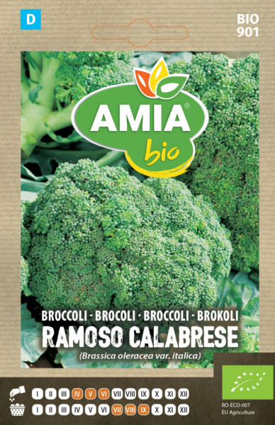 Ramoso Calabrese BIO (750 seminte) broccoli ECO certificat ecologic, AMIA