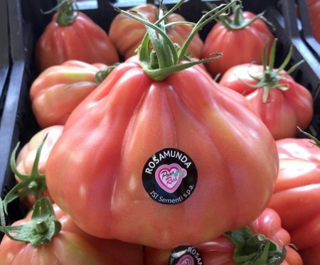 Rosamunda F1 (500 seminte) tomate roz tip Inima de Albenga, ISI Sementi