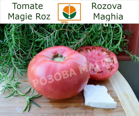 Rozova Maghia (5 gr) seminte tomate roze Magie Roz tip gigant bulgaresc, Opal