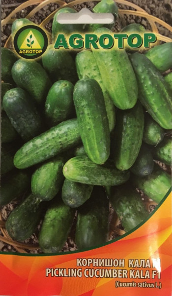 Seminte castraveti cornison Kala F1 (5 gr), extratimpurii, productivitate foarte mare, pentru sere si solarii, Agrotop Bulgaria