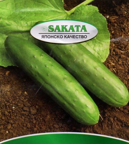 Slice King F1 (35 seminte) castraveti de Salata Hibrid Productiv de la Sakata Japonia