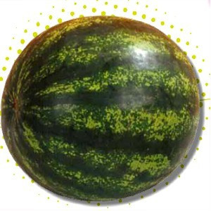 Sorento F1 (1000 seminte) pepene verde hibrid timpuriu, Syngenta