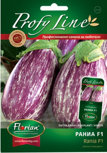 Vinete Rania F1 - 20 sem - Seminte de Vinete Pestrite cu Dungi Violet Semi-Rotunde