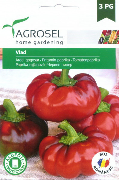 Vlad (2000 seminte) ardei gogosar pulpa groasa, Agrosel