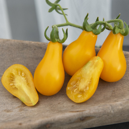Yellow Pearshaped Snack (150 seminte) rosii timpurii galbene cu fructe mici pentru salata, tip para, Agrosel