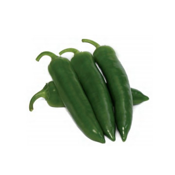 Barut F1 (500 seminte) de ardei iute ce se remarca prin productivitate mare si calitate buna cu perioada de plantare in orice sezon, Yuksel
