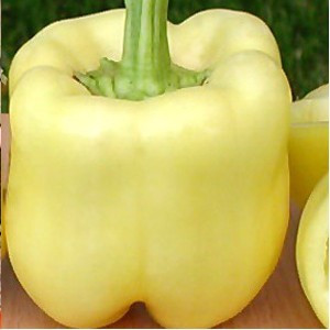 Belladonna F1 (500 seminte) ardei gras galben-alb, Seminis