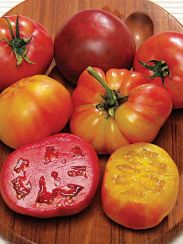 BIG RAINBOW (70 seminte) rosii galbene gigant pana la 1 kg, PARK SEEDS SUA