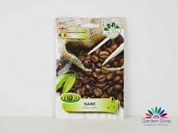 Cafea Arabica - 3 gr - Seminte de Cafea Arabica