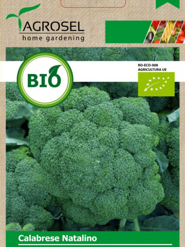 Calabrese Natalino BIO (600 seminte) broccoli ECO certificat ecologic, extratimpuriu, capatana mijlocie, Agrosel
