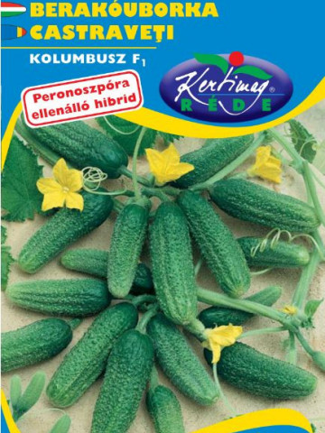 Castraveti Kolumbusz F1 (2 g), seminte de castraveti hibrid timpuriu foarte productiv, Kertimag