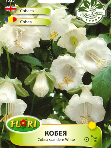 Cobea ALBA - Seminte Flori Cobea ALBA de la Florian
