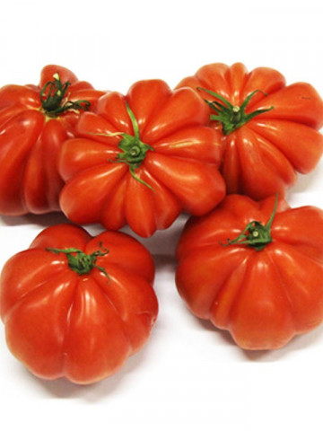 Corazon F1 (250 seminte) rosii nedeterminate de tip costat crete "Inima de Albenga", Clause