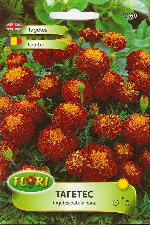 Craite BATUTE - Seminte Flori Craite Batute de la Florian