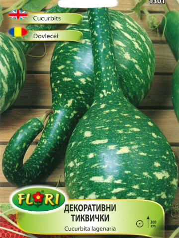 Dovlecei decorativi - Tartacute 4 - Seminte Dovlecei decorativi cu forme si culori variate