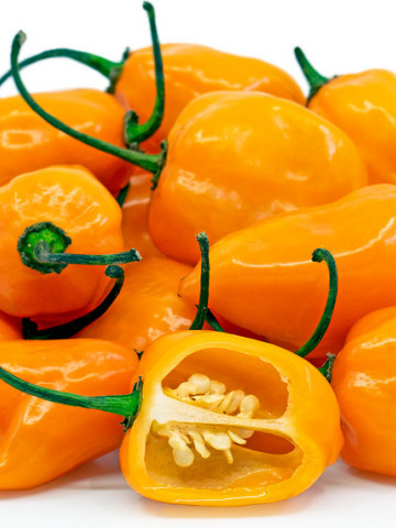Habanero portocaliu Orange (20 seminte), ardei iute tip chili, Florian