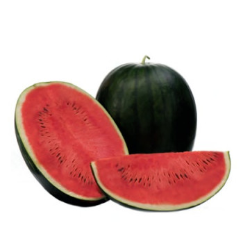 Kandemir F1 - 1000 sem - Seminte de pepene verde cu pulpa de culoare rosu intens crocanta de la Yuksel
