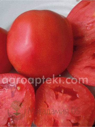 Kruna (5 gr) Seminte de Tomate Timpurii Determinate Roze pentru camp de la Superior Serbia