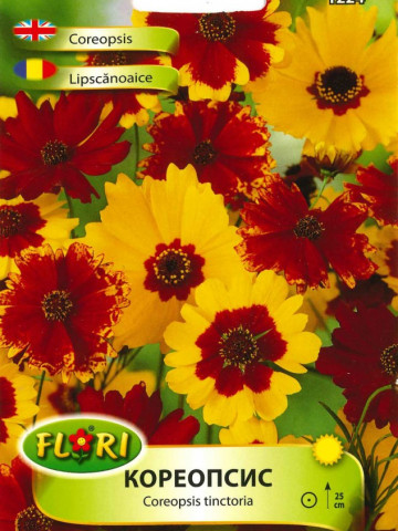 Lipscanoaice - Seminte Flori Lipscanoaice Planta Anuala de la Florian