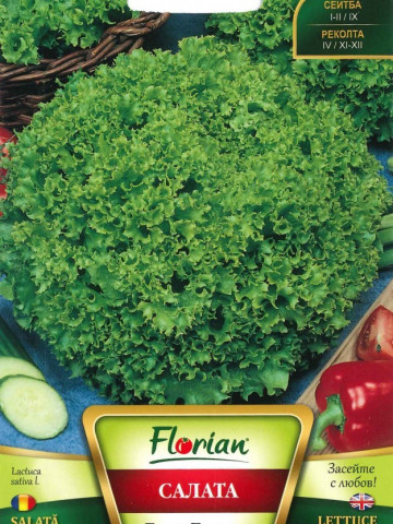 Lollo Bionda - 50 gr - Seminte Salata Lollo Bionda Soi Semitimpuriu Productivitate Mare de la Florian