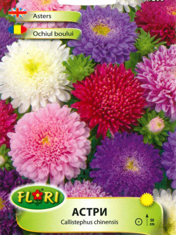Ochiul Boului Mix - Seminte Flori Ochiul Boului de la Florian