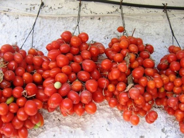 Principe Borghese – 0.7 gr – Seminte Tomate Cherry Extratimpurii Semideterminate
