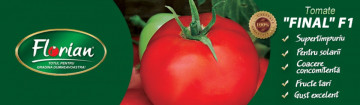 Rosii Final F1 (100 seminte) de tomate extratimpurii semideterminate Florian Bulgaria