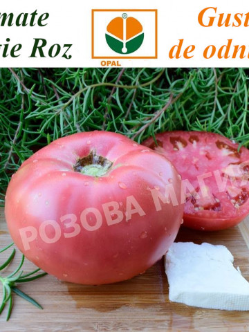 Rozova Maghia (Magie Roz) seminte toamte Roz (0.2 gr) Soi Gigant, Opal Bulgaria