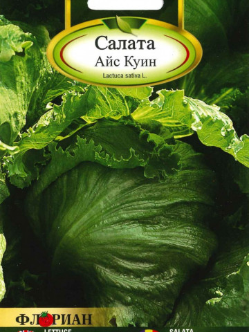 Salata ICE QUEEN - 2 gr - Seminte de Salata Soi de iarna timpuriu Florian Bulgaria