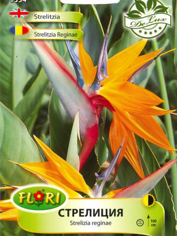 Strelitzia (Pasarea Paradisului) - Seminte Flori Strelitzia Pasarea Paradisului de la Florian