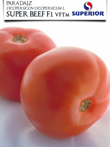 Super Beef F1 - 50 sem - Seminte Rosii Nedeterminate Fructe Mari Carnoase de la Superior Serbia