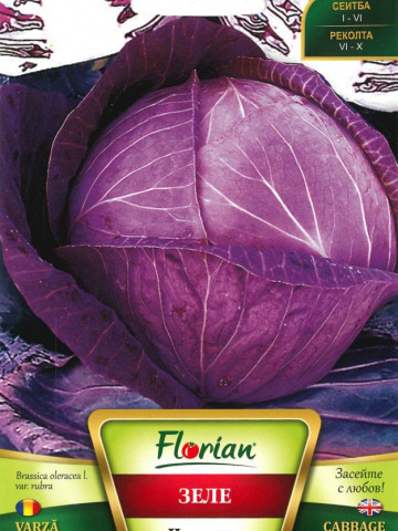 Varza ROSIE - 3 gr - Seminte de Varza Rosie Soi semitimpuriu Florian Bulgaria