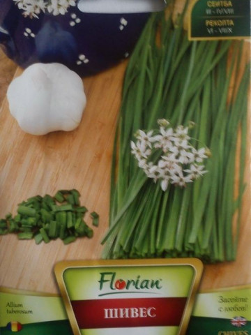 Arpagic Chives - Seminte Arpagic Chives de la Florian