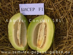 Biser F1 (250 seminte) pepene galben posibil cel mai dulce, zemos si aromat