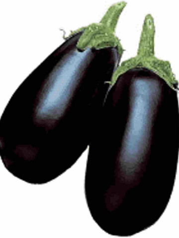 Black Dragon F1 (1000 seminte), vinete extratimpurii, Takii Seed