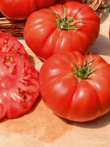 Buffalosteak F1 (10 seminte) tomate nedeterminate timpurii de tip Beef, 350 - 700 gr, Clause