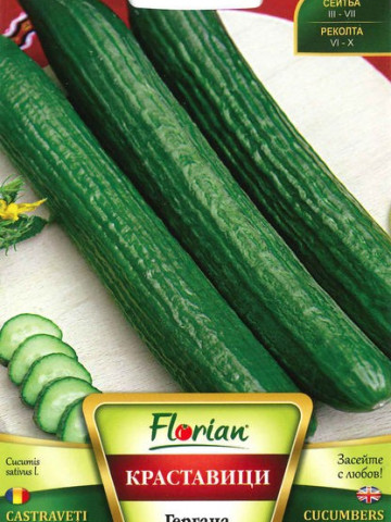 Castraveti GERGANA - 10 gr - Seminte de Castraveti Soi Timpuriu Florian Bulgaria
