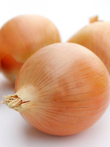 Ceapa alba Rijnsburger (1 kg), seminte de ceapa alba gust fin, soi semitimpuriu, Agrosem