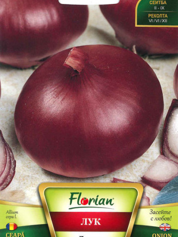 Ceapa LILIA - 5 gr - Seminte de Ceapa Soi Italian Foarte Productiv