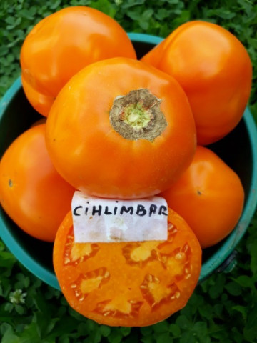 Chihlimbar (600 seminte) Tomate Romanesti de culoare Galben-potocaliu de la SCDL Buzau